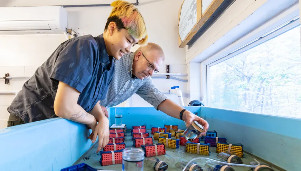 Ruby Motulsky and Markus Frederich exampining samples