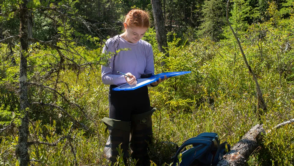 Maya Gilpren jotting down notes in a bog in northern Maine