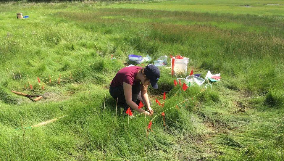 A student works in the field