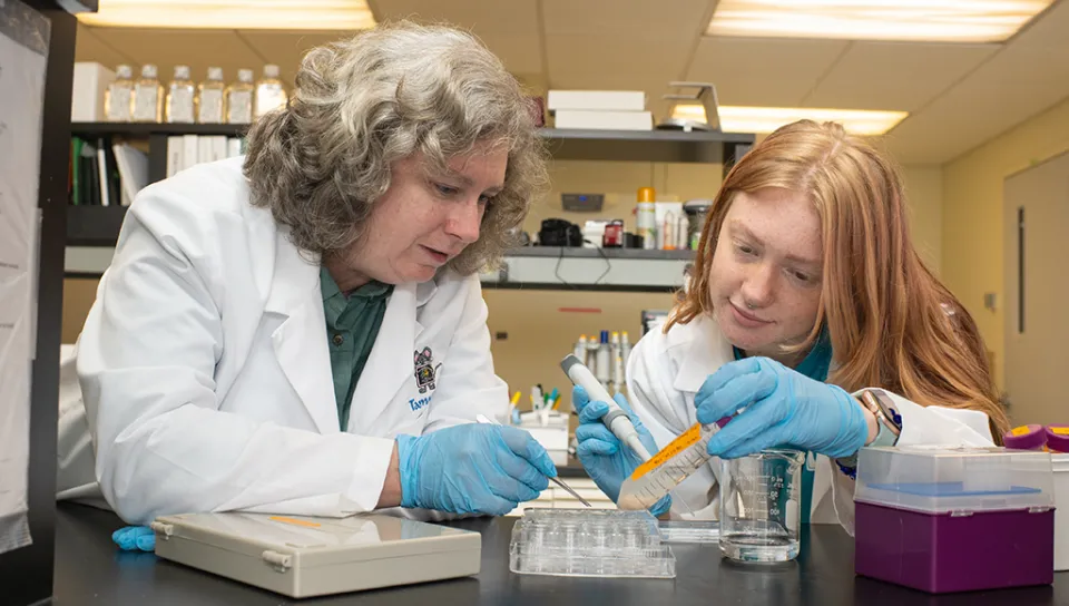 Tamera King and a UNE student conduct research in the lab
