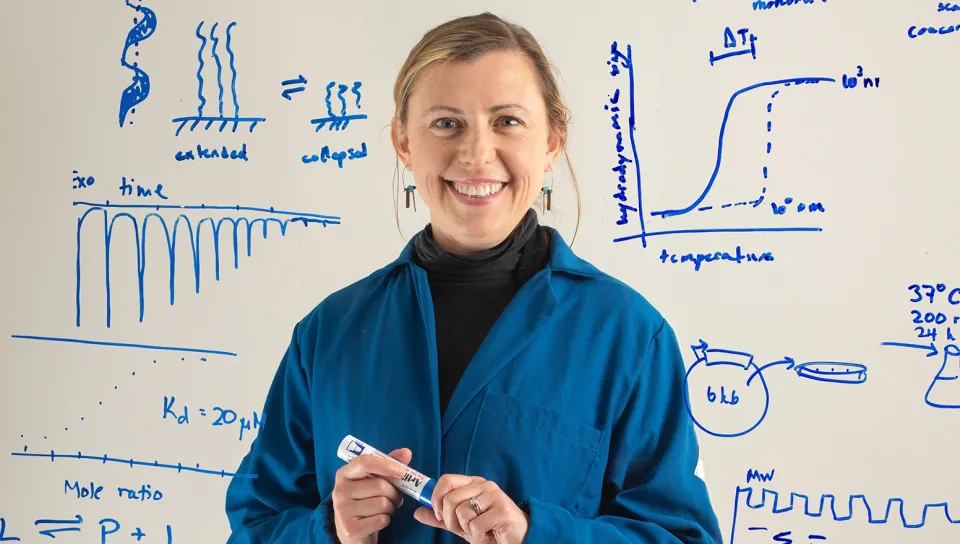 Eva Balog poses for a portrait surrounded by illustrations of her research