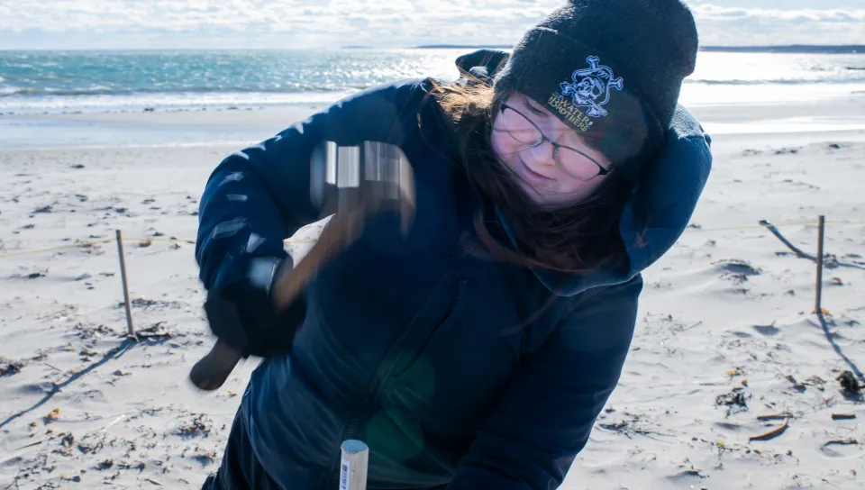 UNE students aid Biddeford Pool Conservation Trust in coastal restoration effort  
