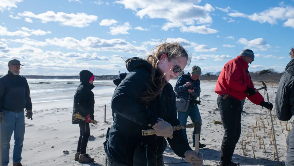 On March 7, seven students recruited by UNE Assistant Professor Will Kochtitzky, Ph.D., who teaches geographic information systems (GIS), came to help the effort. The volunteer project was optional, but six out of seven students in Kochtitzky’s GIS 364 Spatial Analysis class participated. “Our coastal ecosystems are incredibly vulnerable, and this is one way we can help the coast adapt to stronger storms and higher sea levels,” said Kochtitzky in the School of Marine and Environmental Programs in the U