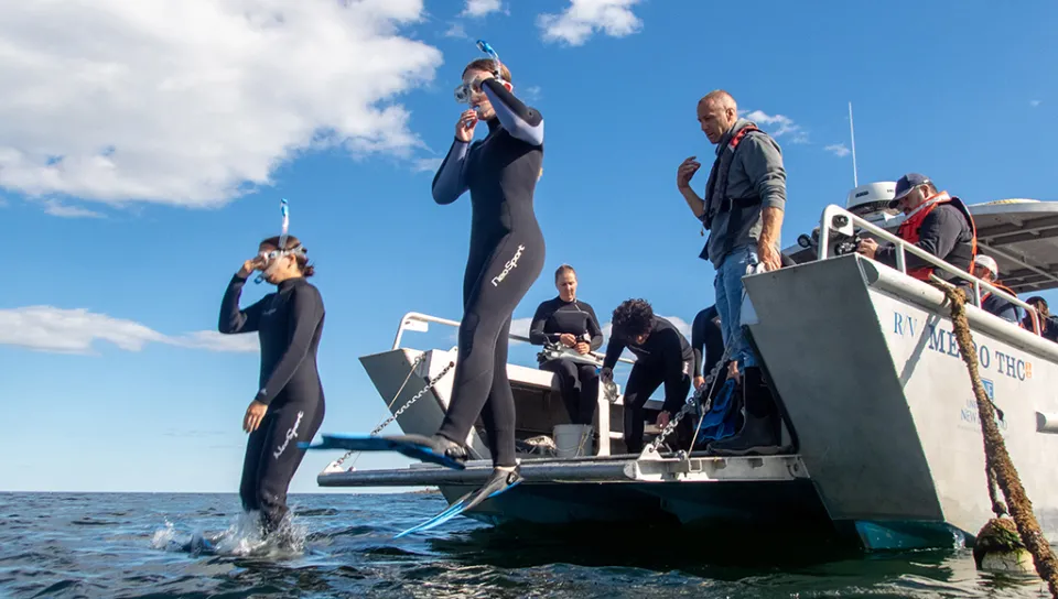 U N E students prepare to snorkel off the coast of Ram Island