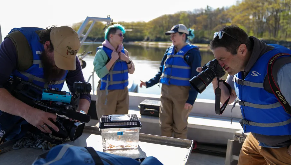 Reporters take photos of the baby lobsters aboard a UNE research boat, with students also visible