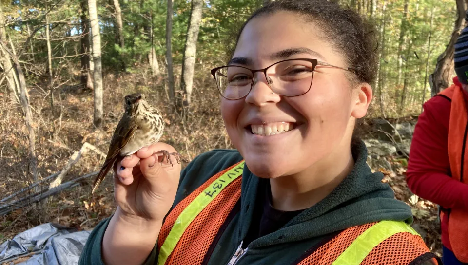 As the president UNE Birders, Haley Hines chose to meld their love of birds with a desire to help others  