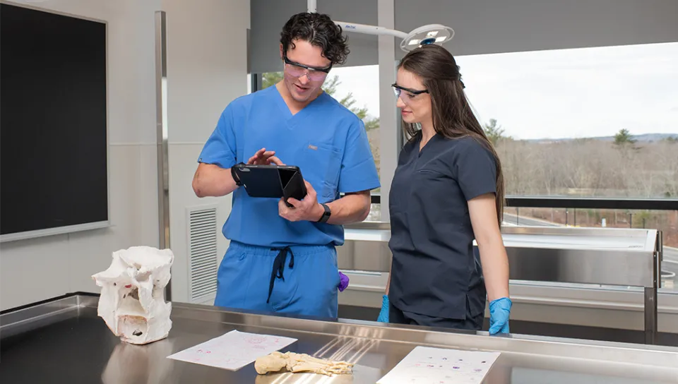 Two osteopathic medicine students look at a tablet in the anatomy lab