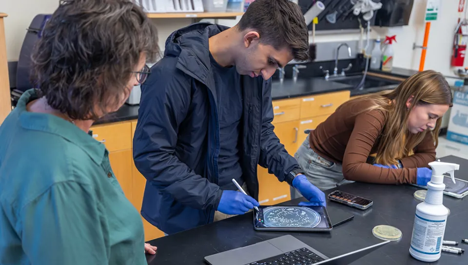 A professor watches as two students count colonies of bacteria on their petri dishes in a class lab