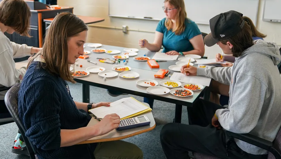 A small class of statistics student calculates probabilities using calculators and Reese's Pieces candies