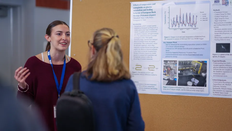 students engage with professional staff during sure symposium