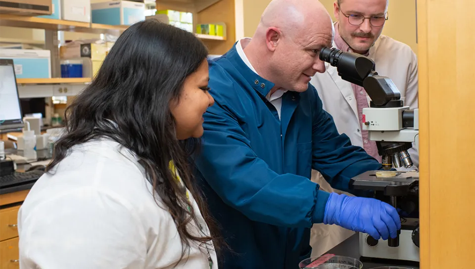 Scott Wood and two student researchers collaborate around a microscope in a laboratory, with one researcher in blue adjusting a sample while colleagues observe.