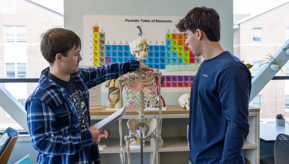 Two students examine an anatomical skeleton model in a science classroom with a periodic table visible in the background.