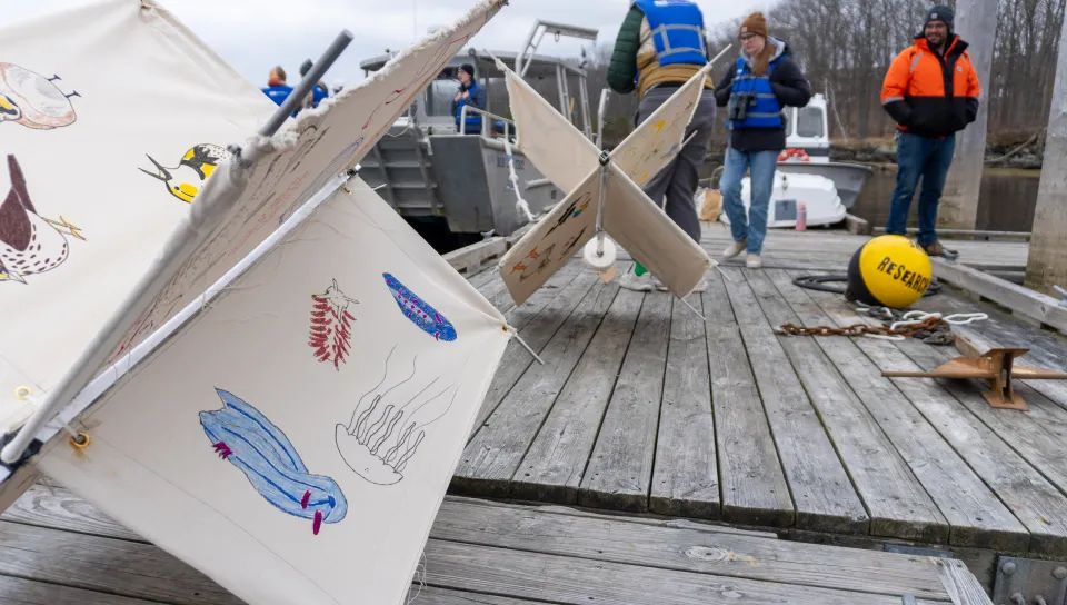 UNE students track coastal currents, aided by technology from Portland start-up