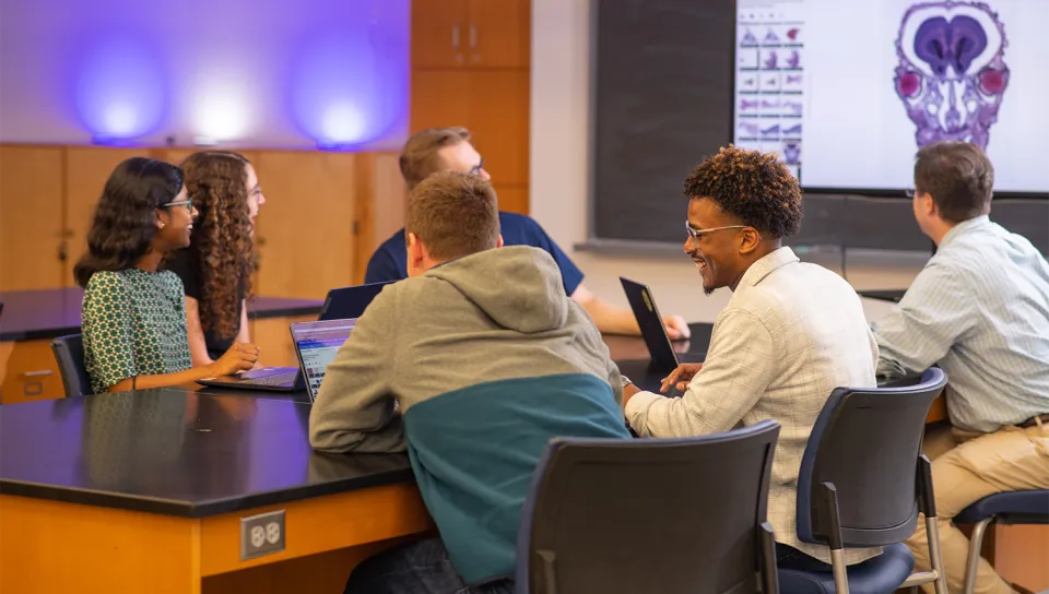 A group of UNE students with laptops engage in discussion around a lab table during a clinical anatomy class, with an anatomical illustration projected on the screen behind them.