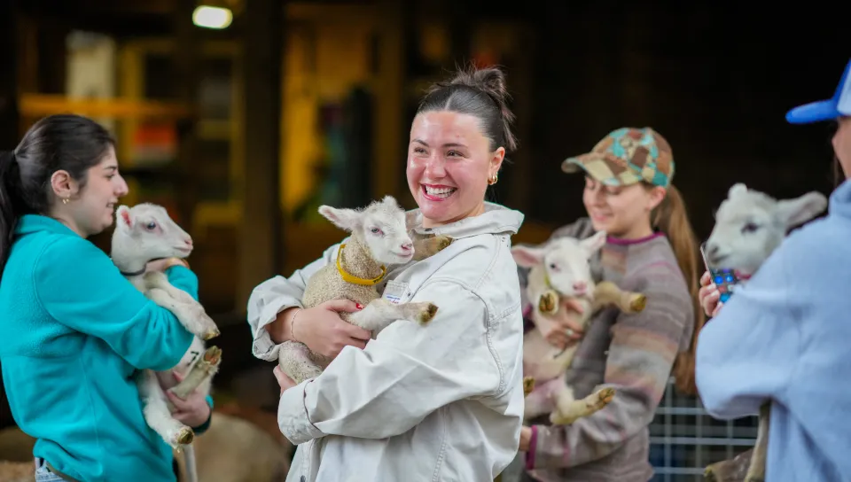 On April 14, University of New England Assistant Clinical Professor Emily Estell, M.P.H., RDN, LD, partnered with a local sheep-and-goat dairy farm in nearby Alfred to provide her nutrition students with an intimate, hands-on lesson in exactly how some local farmers work to support healthier food sources and a healthier planet.
