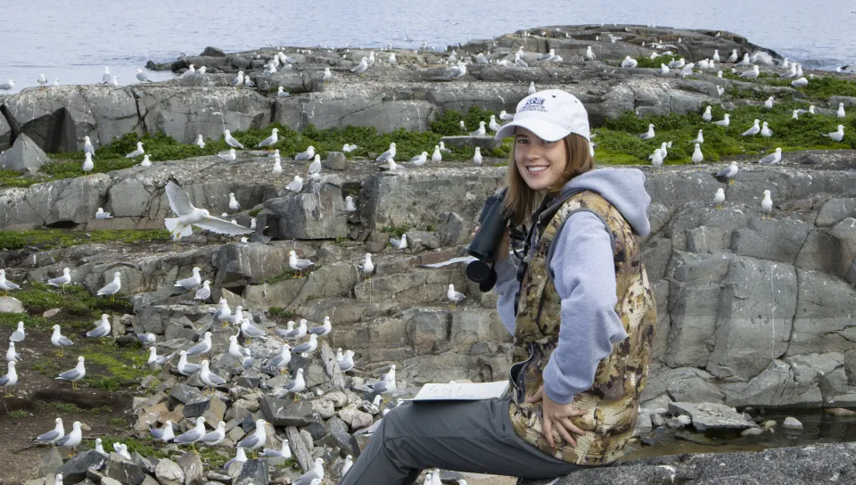 UNE student Johanna Birchem poses in the field conducting gull research