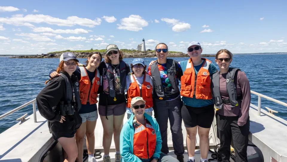 UNE researcher fills gap in Gulf of Maine harbor porpoise data