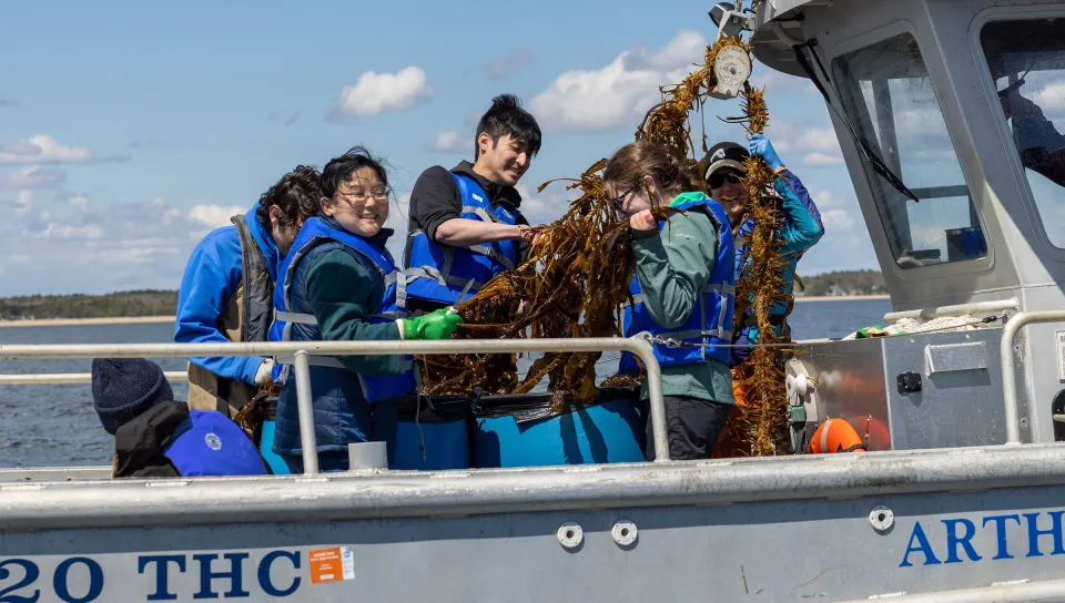 A research team wearing blue life vests hauls a large bundle of kelp onto a boat on the open water during a harvest expedition.