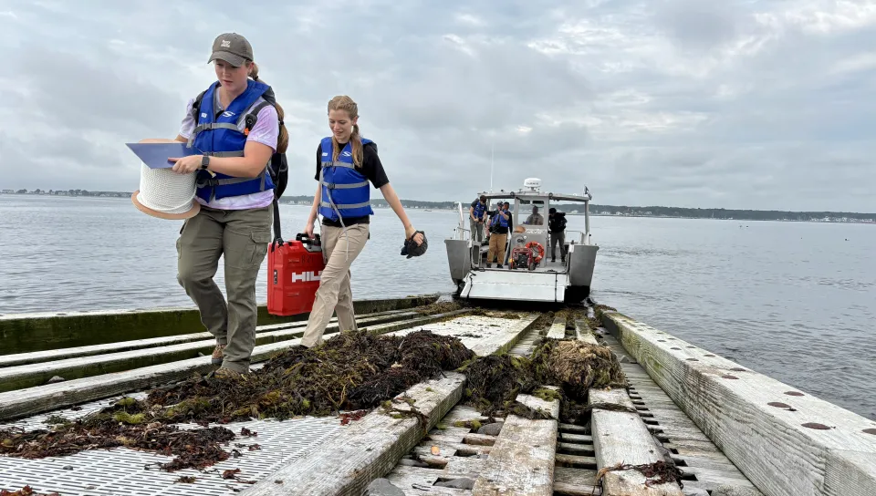 UNE researchers install wave radar to track spur jetty’s impact on Saco’s Camp Ellis