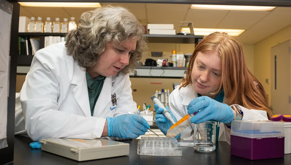 A U N E professor guides a student using a pipette over a multi-well tray during hands-on research in the SURE lab.