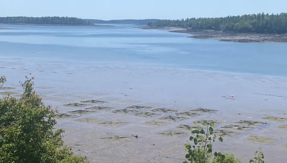 Bay view from Pleasant Point