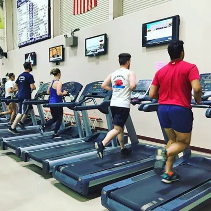 Five students using the treadmills in Finley Recreation Center
