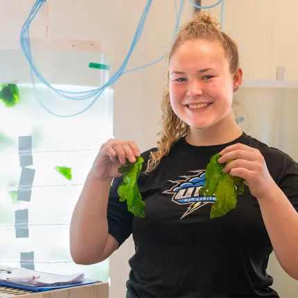 Sophia Tearman hold up two peices of seaweed in a Girard Marine Science Center lab
