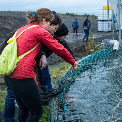 Two researchers examine a net-covered aquaculture tank at an outdoor research site, with additional group members visible in the background.