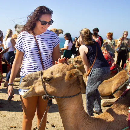 A U N E student pets a camel on a beach in Morocco during a study abroad trip.