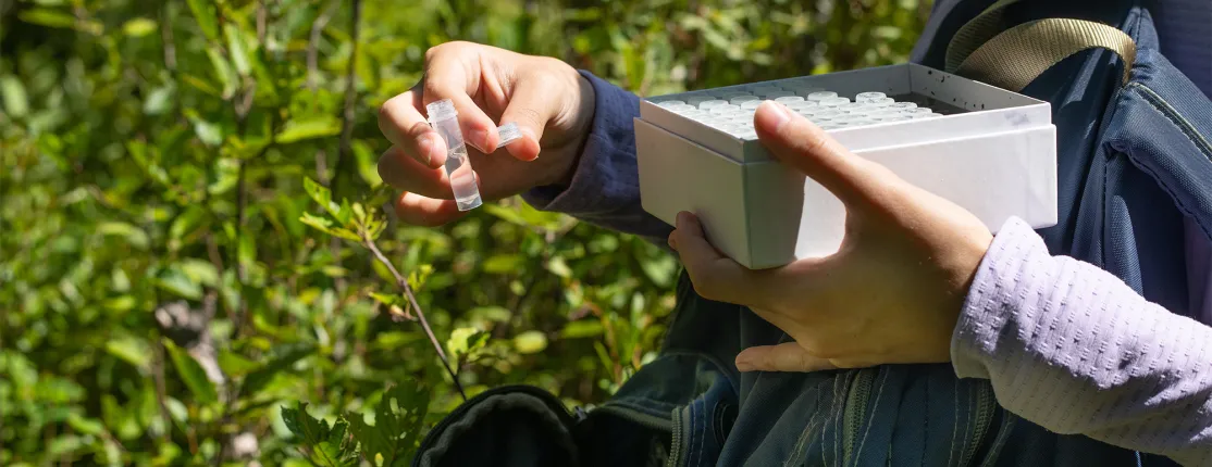 Maya Gilpren holding a sample file and backpack in the Bigelow Preserve