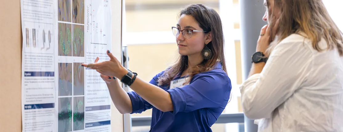 At the SURE Fall Research Symposium a student in a blue shirt gesturs to a poster while a person standing in white looks on.