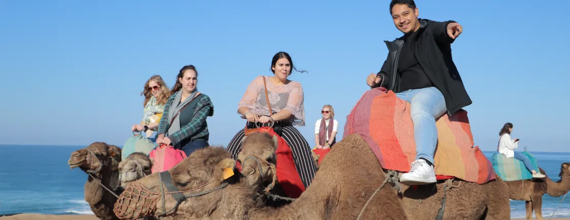 Group of students ride camels with colorful saddles along a beach with ocean and clear sky visible.