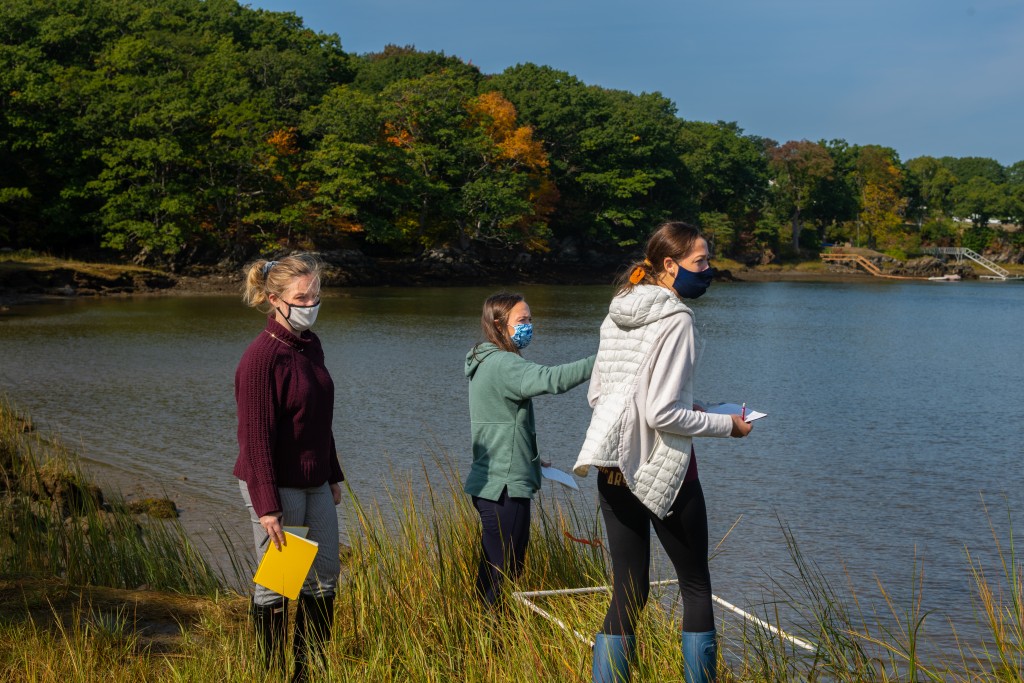 Students examine the shoreline at UNE's Biddeford Campus for signs of coastal erosion
