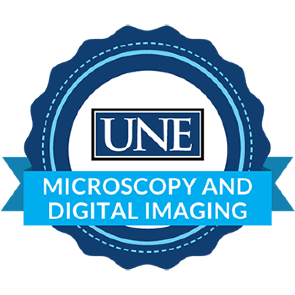 Microscopy and Digital Imaging badge