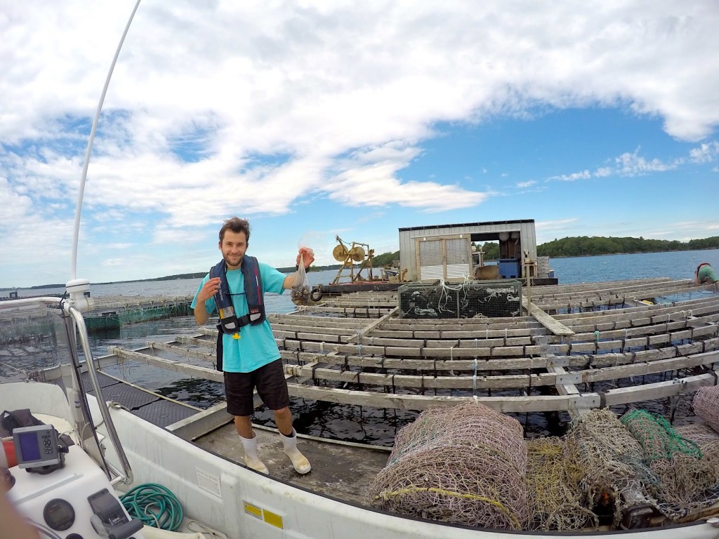 Connor Jones ’19 at Bangs Island Mussels