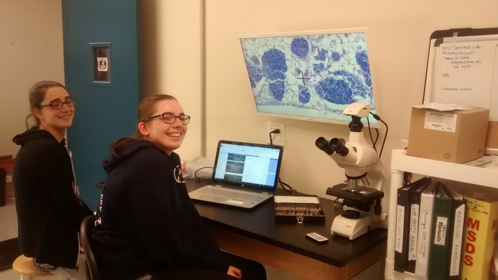 Students Michele Condon and Katie Parker examine histology slides