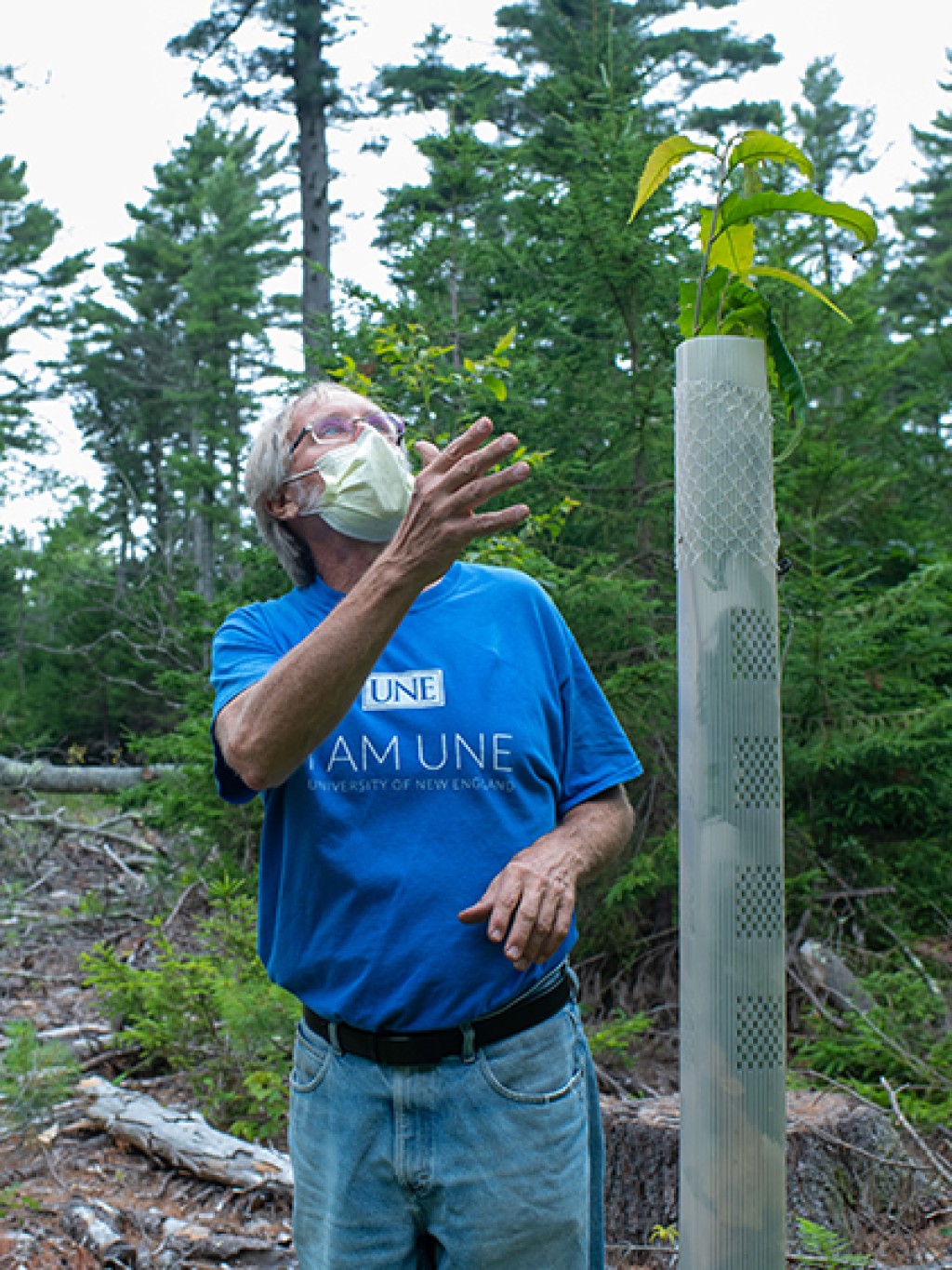 Prof. Thomas Klak, Ph.D., standing with a transgenic American chestnut seedling