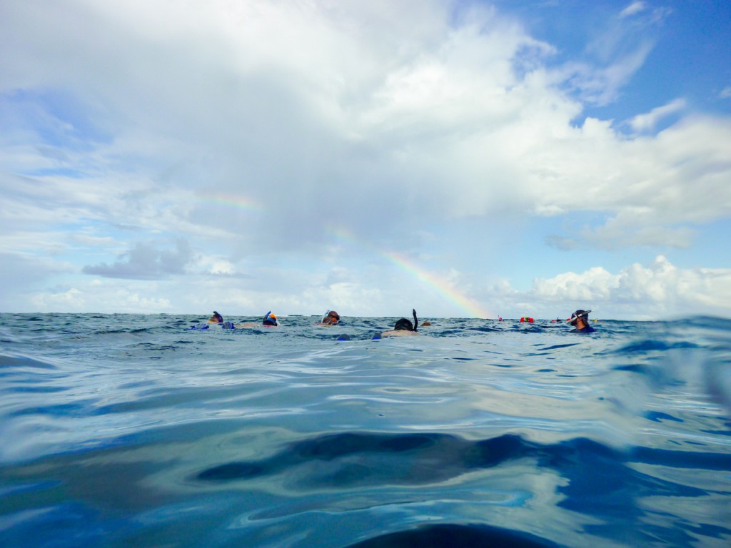 Snorkeling in Belize on the Surface Under a Rainbow