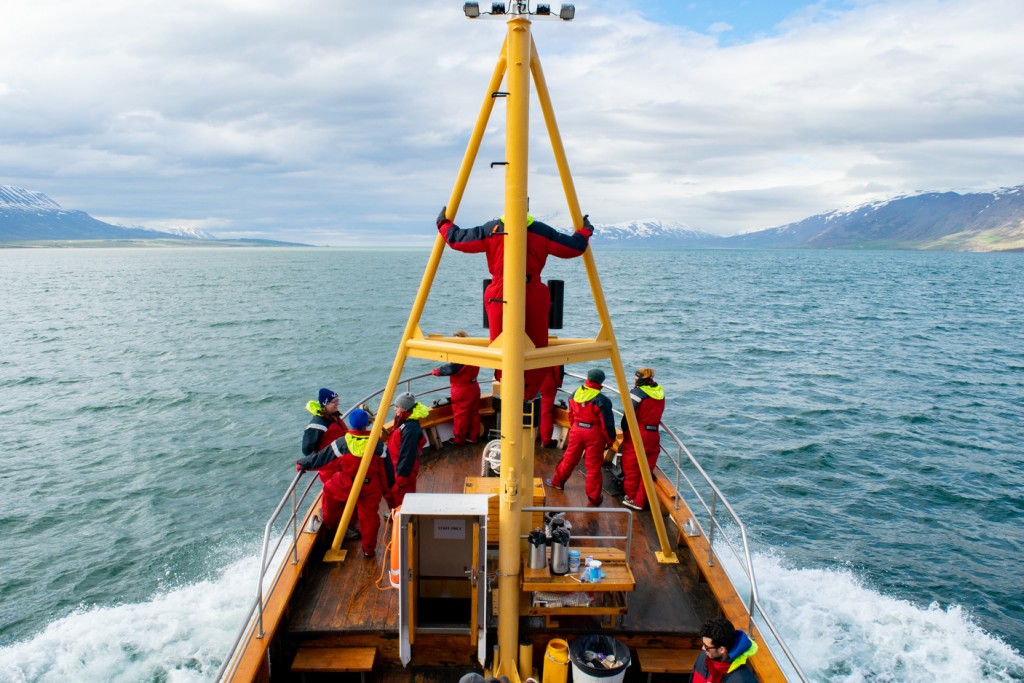On a boat in Iceland Travel Course