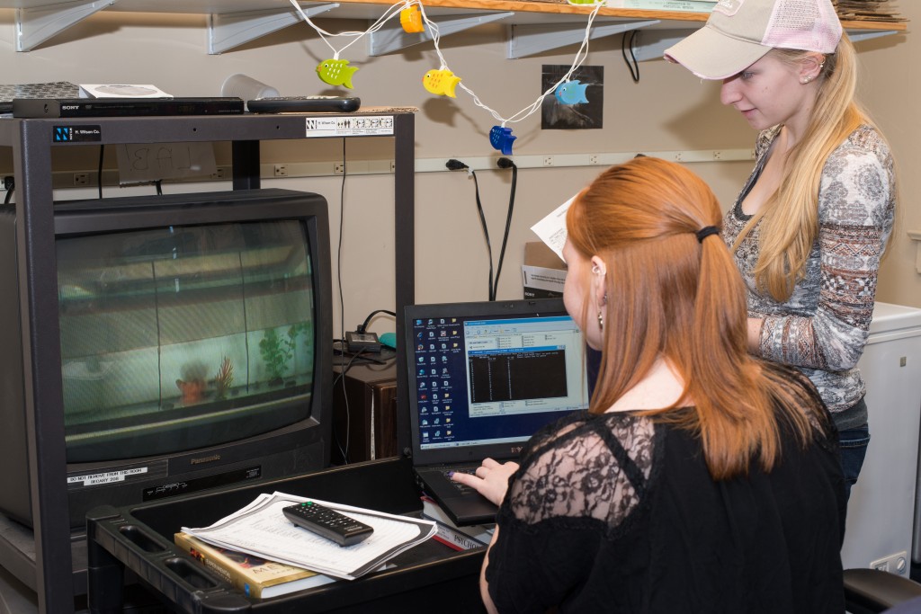 Two U N E students observes a fish's behavior via a video feed