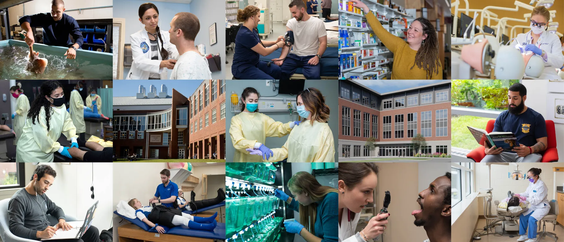 The Harold Alfond Foundation has gifted the University of New England $30 million to support boost the state's workforce and economy and support quality health care.