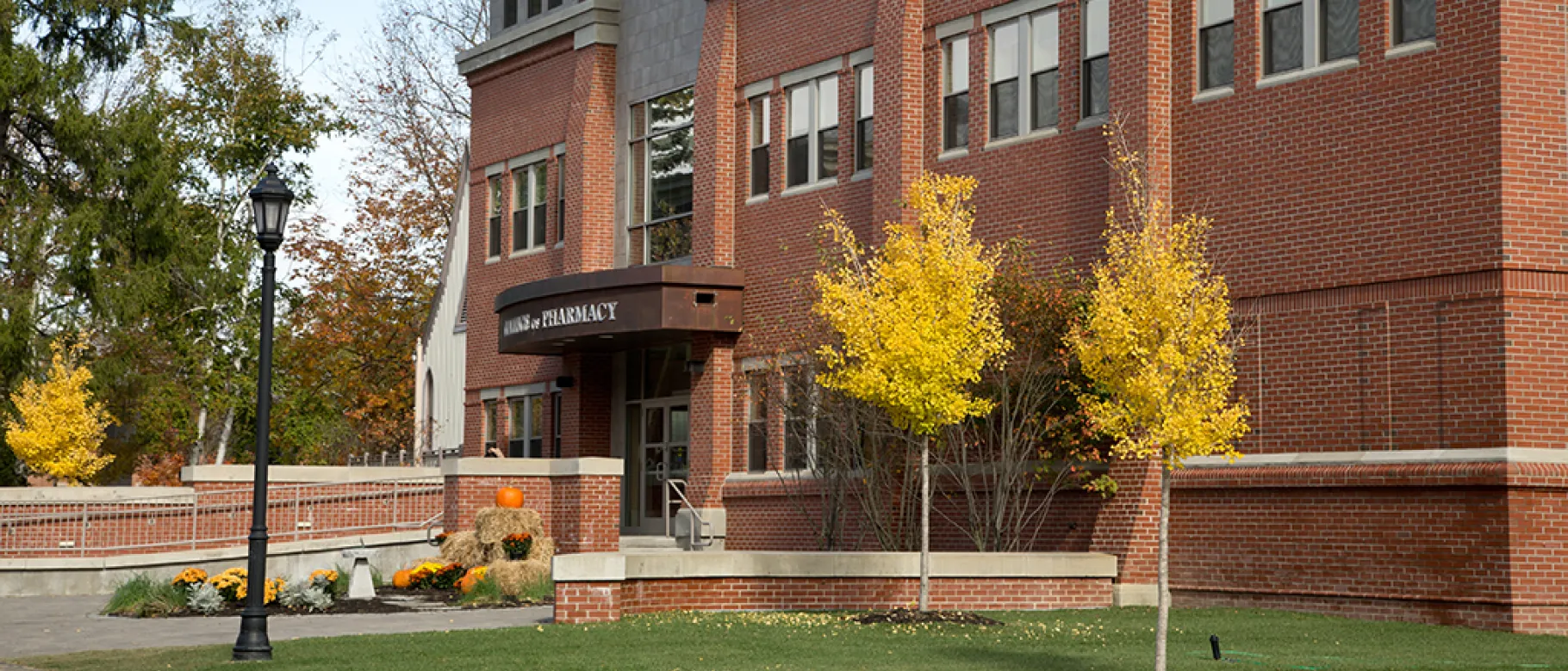 School of Pharmacy