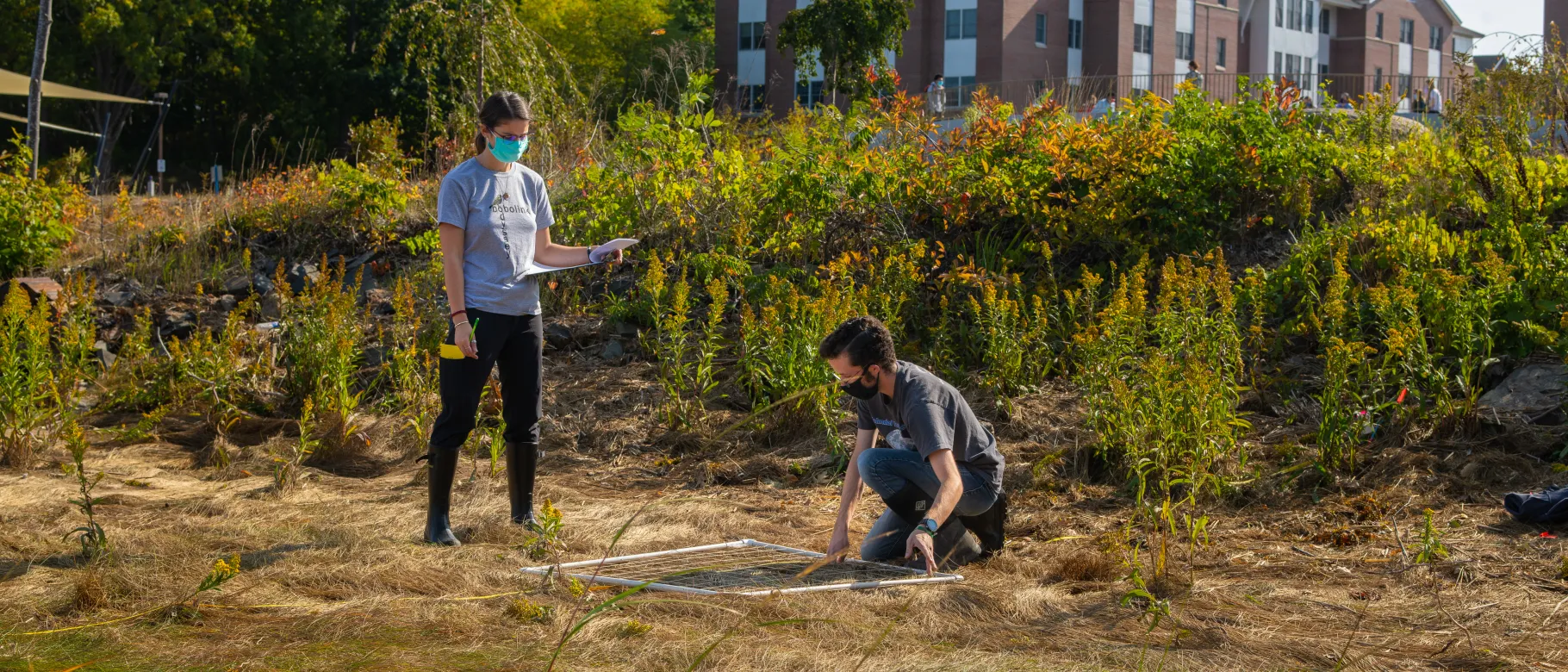 Students in Pam Morgan's Gulf of Maine Field Studies course spent their semester researching the feasibility of creating one or more "living shorelines" along UNE's Biddeford Campus. 