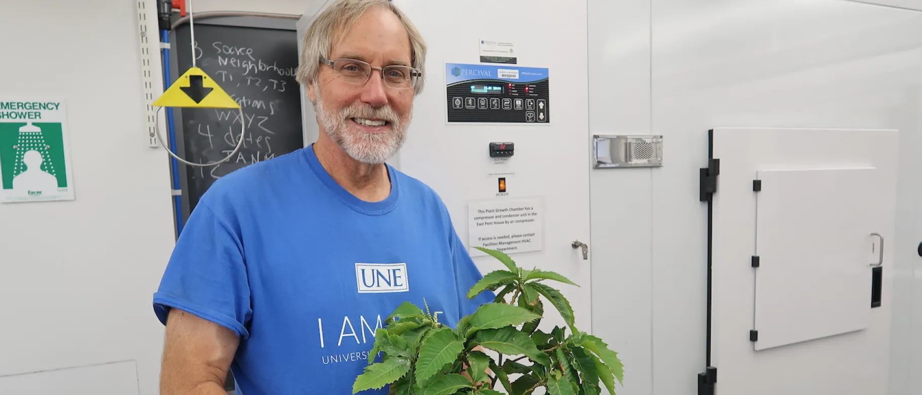 Tom Klak holding an American chestnut seedling