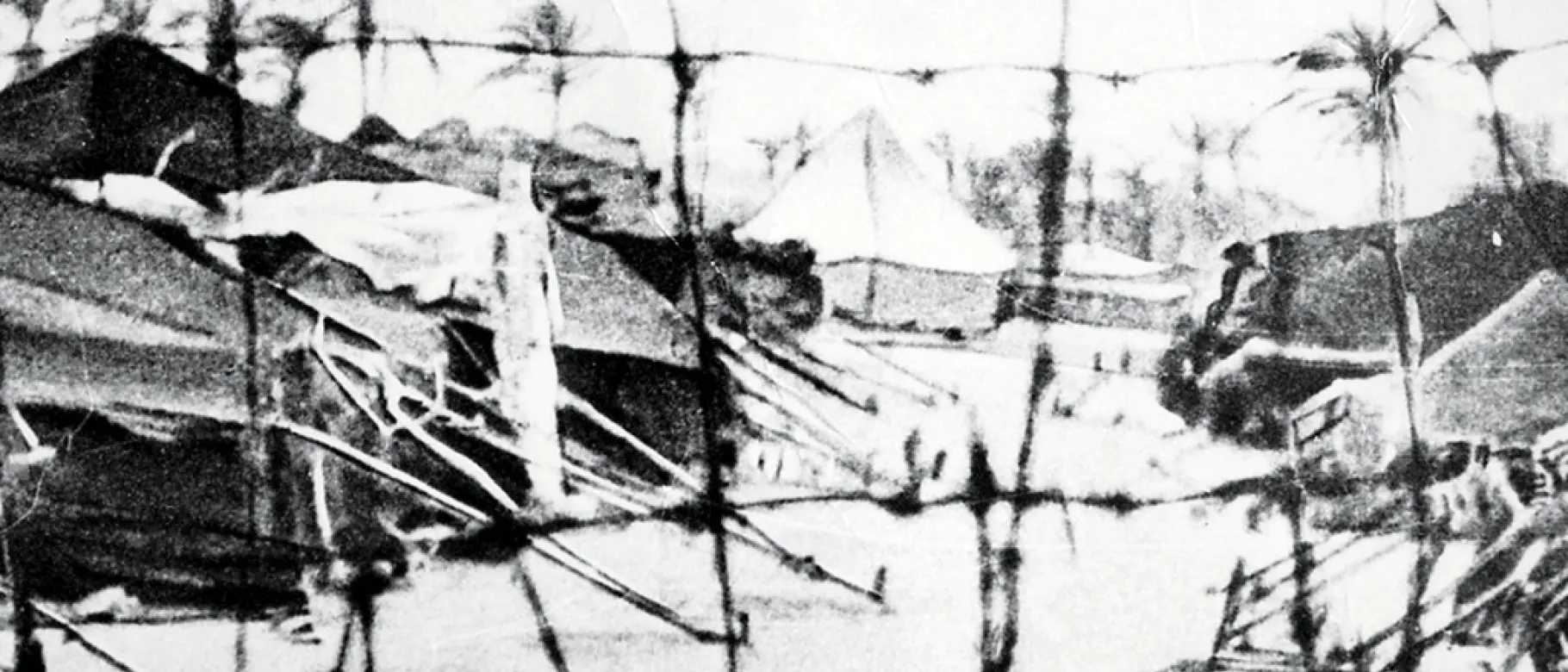 Graphic depicting barbed wire