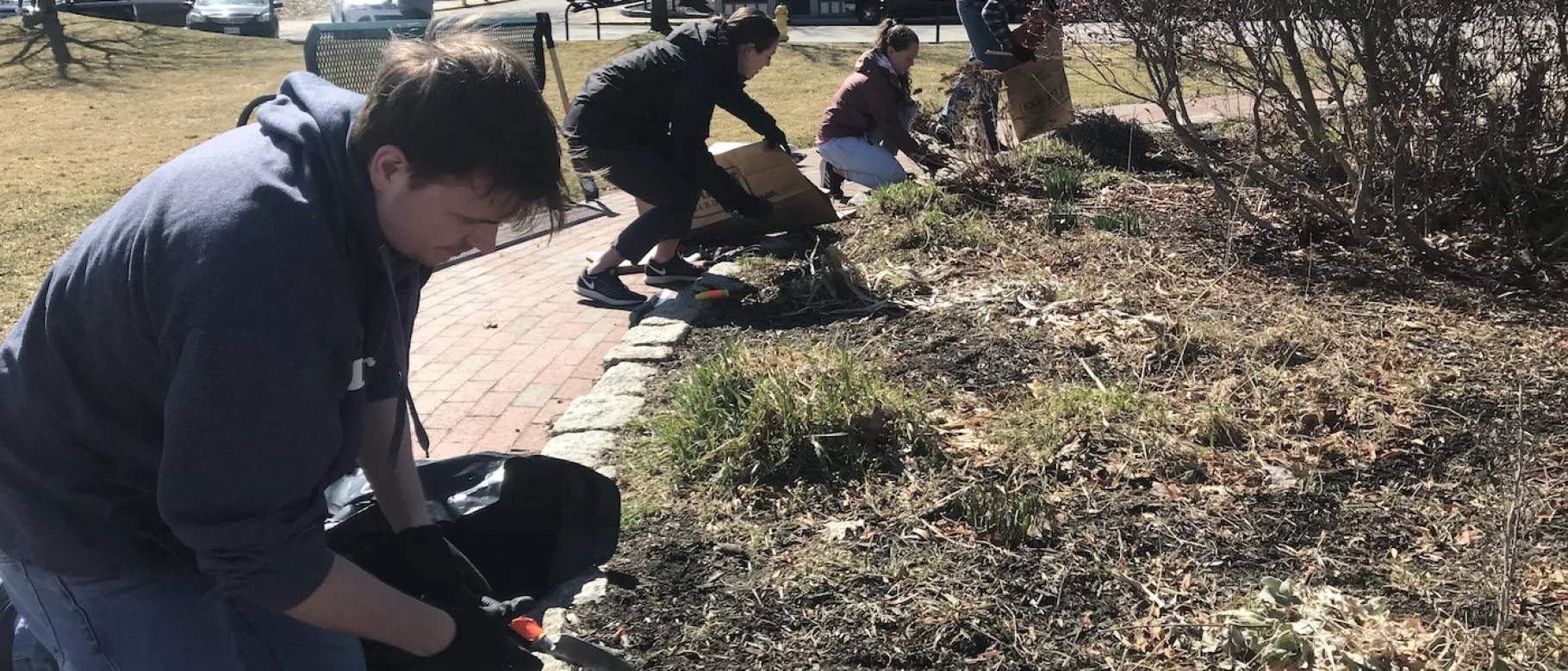 Students cleaning park