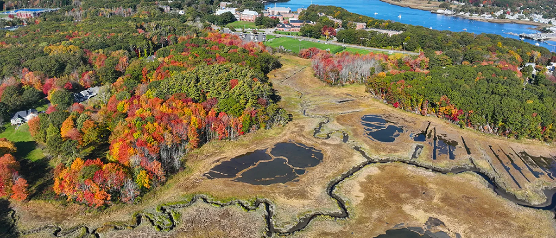 An aerial view of salt marshes in Biddeford Pool
