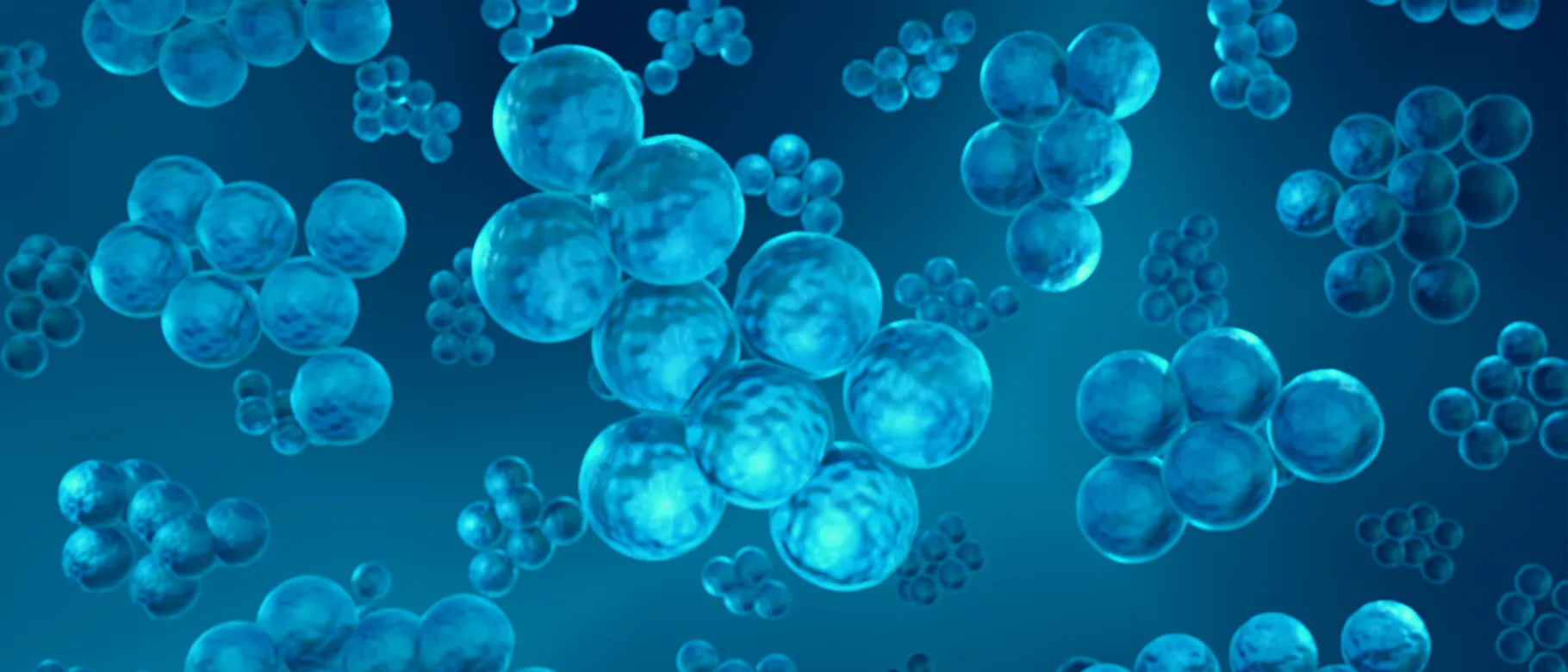 Illustration of staphylococcus bacteria