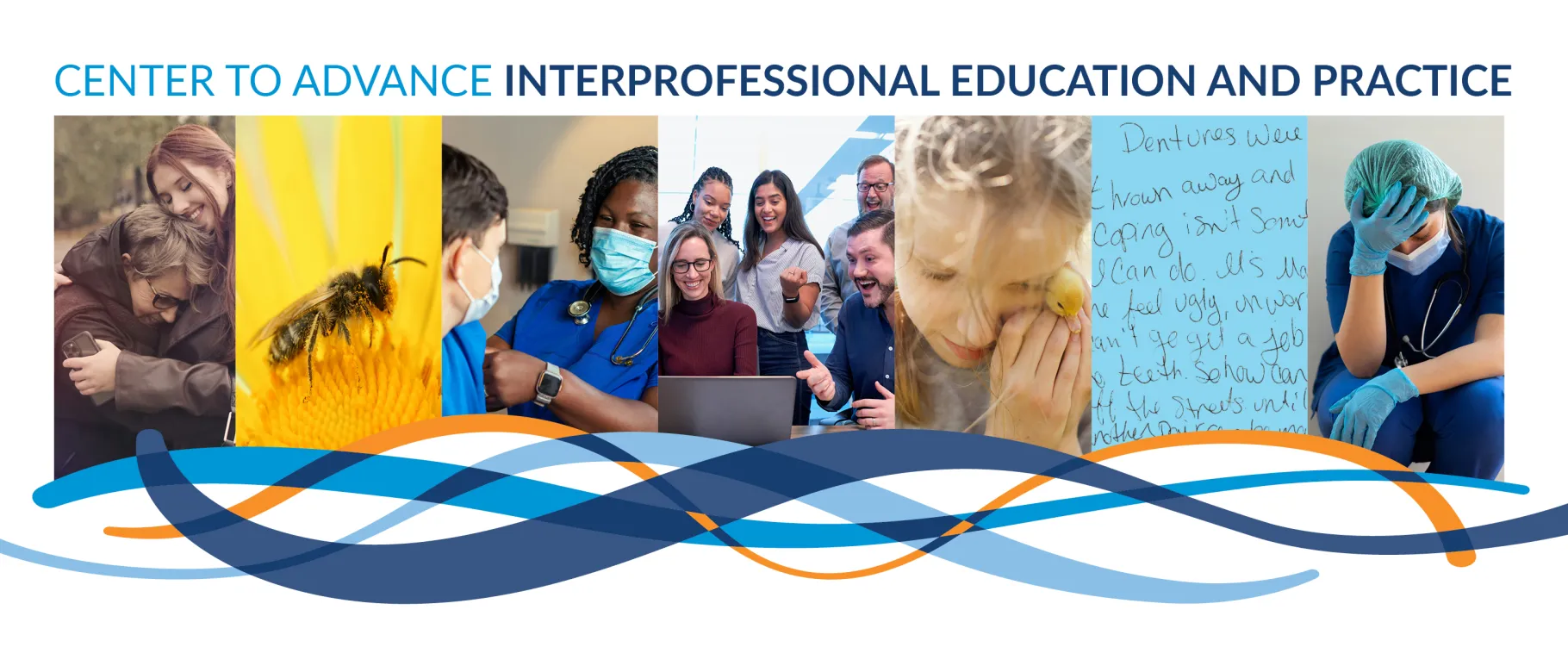 CAIEP header image