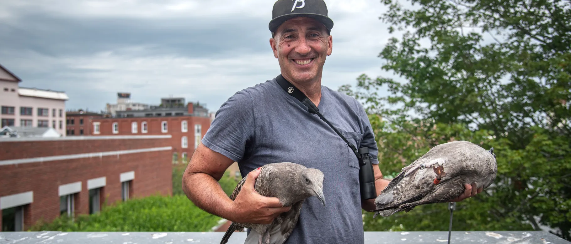 Portrait of Noah Perlut holding seagulls on a roof in Portland